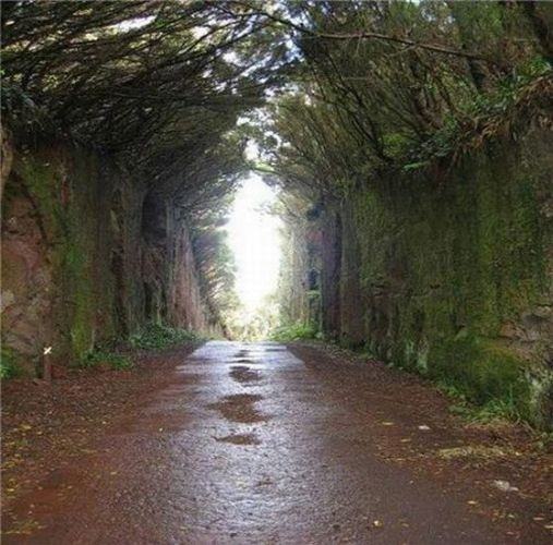 Dünyanın en ilginç yolları - 14