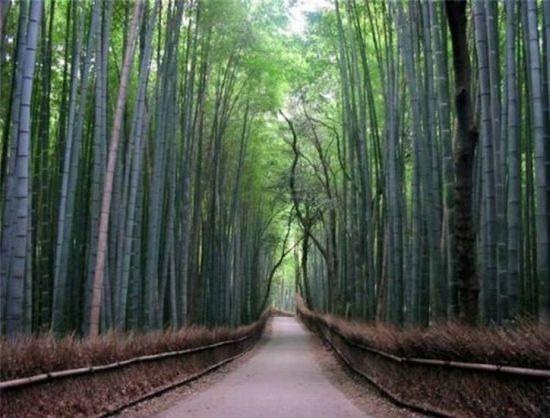 Dünyanın en ilginç yolları - 25