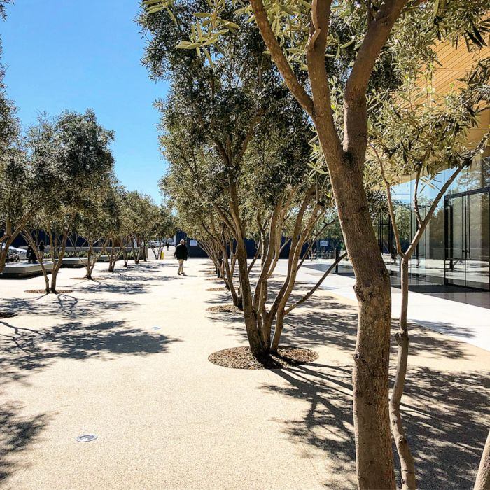 İşte Apple'ın yeni genel merkezi - 33