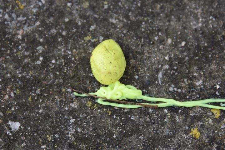 II. Abdülhamid'den kalan tabyayı oyun alanına çevirdiler - 0