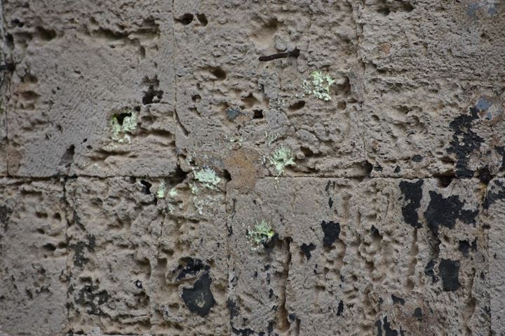 II. Abdülhamid'den kalan tabyayı oyun alanına çevirdiler - 0