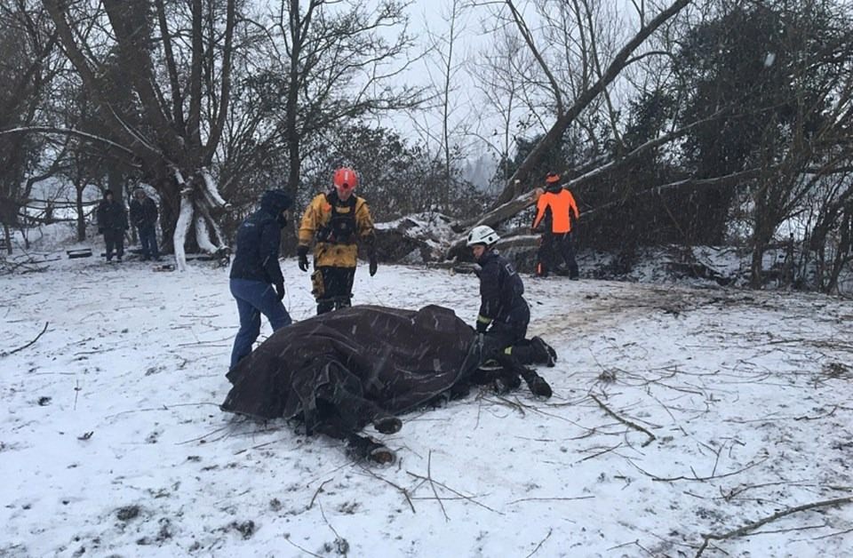 İngiltere'de raflar boş kaldı - 17