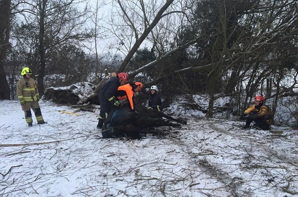 İngiltere'de raflar boş kaldı - 19
