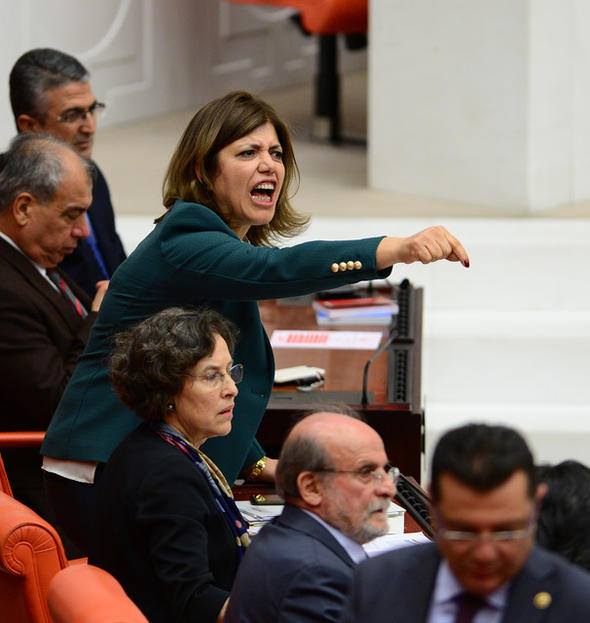 Mecliste Afrin kavgası - 5