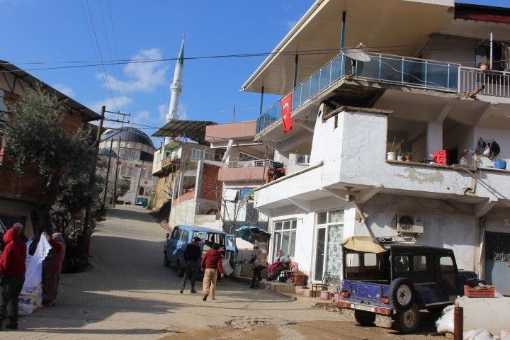 O bir kedi değil! Köye girdi önüne gelene saldırdı - 2