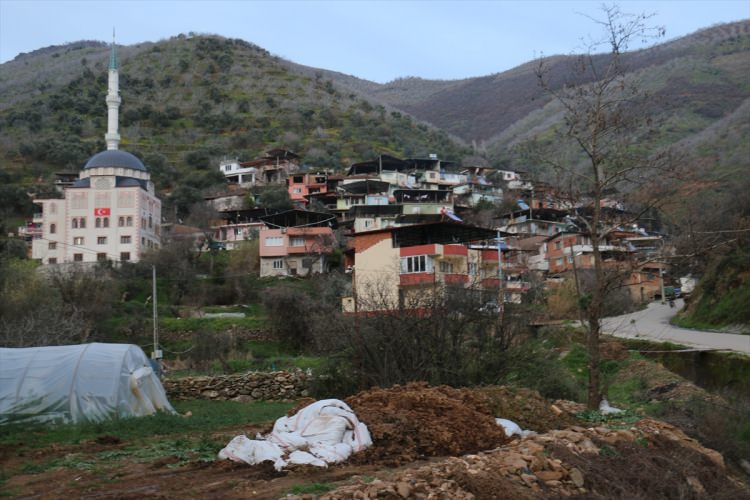 O bir kedi değil! Köye girdi önüne gelene saldırdı - 7