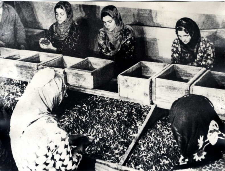 'Milli Mücadelede Kadınlar' fotoğraf sergisi - 2