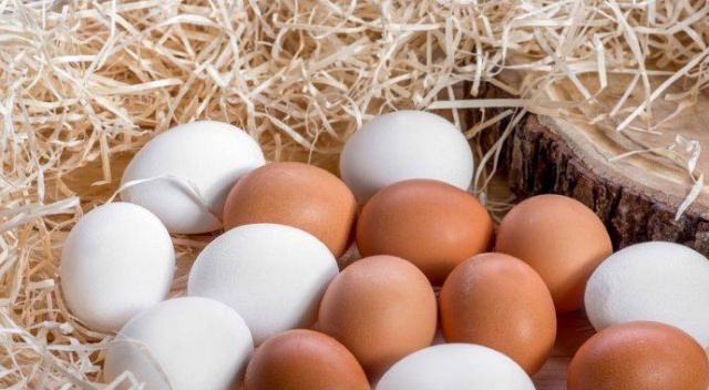 Canan Karatay'dan bağışıklık sistemini güçlendiren kurallar - 2