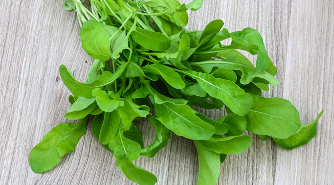 Rokanın yararları saymakla bitmiyor - 1