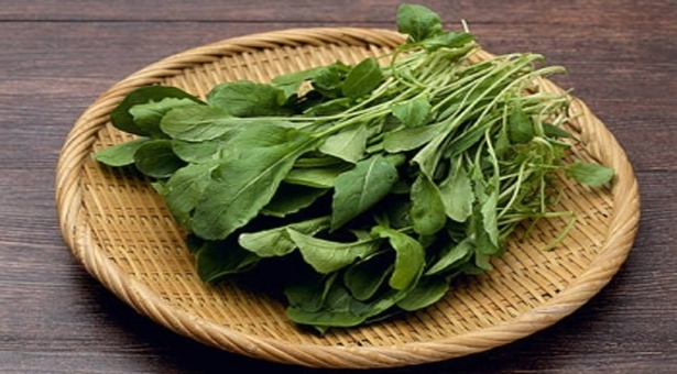 Rokanın yararları saymakla bitmiyor - 2