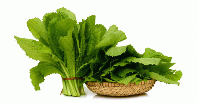 Rokanın yararları saymakla bitmiyor - 5