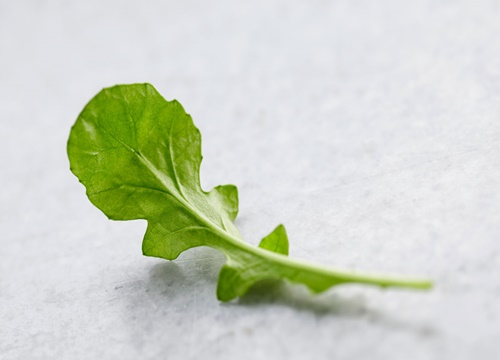 Rokanın yararları saymakla bitmiyor - 6