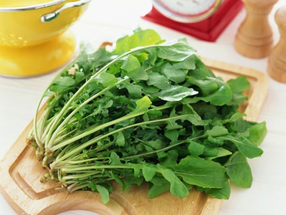 Rokanın yararları saymakla bitmiyor - 8