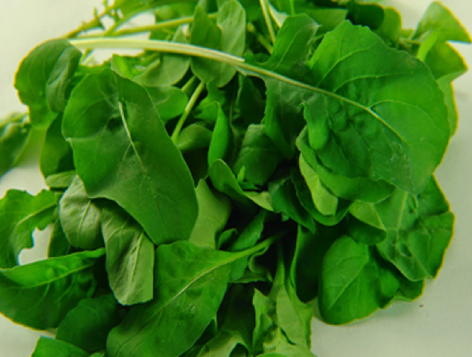 Rokanın yararları saymakla bitmiyor - 9