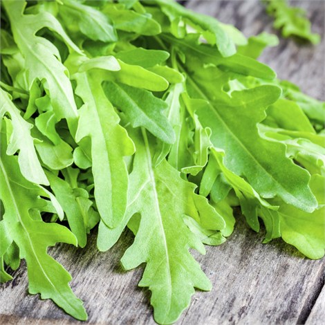 Rokanın yararları saymakla bitmiyor - 11