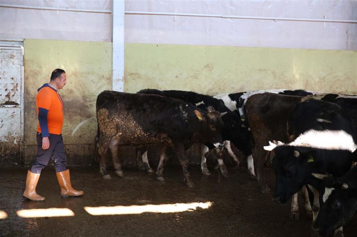 İlkokul mezunu mahkum şimdi 2. üniversiteyi bitiriyor - 2