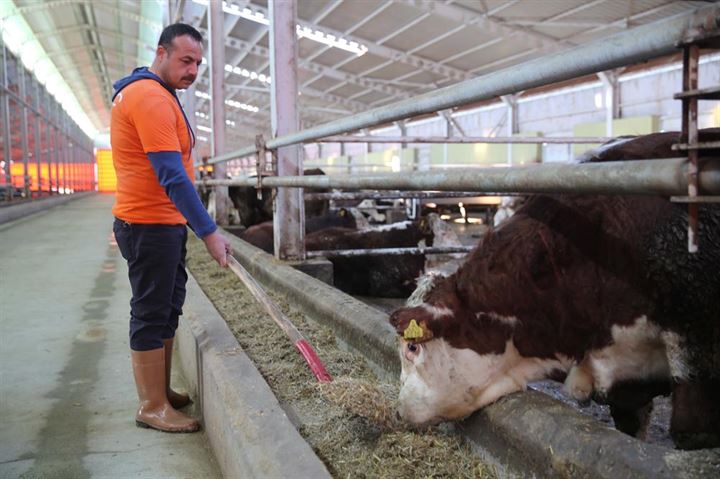 İlkokul mezunu mahkum şimdi 2. üniversiteyi bitiriyor - 4