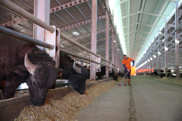 İlkokul mezunu mahkum şimdi 2. üniversiteyi bitiriyor - 6