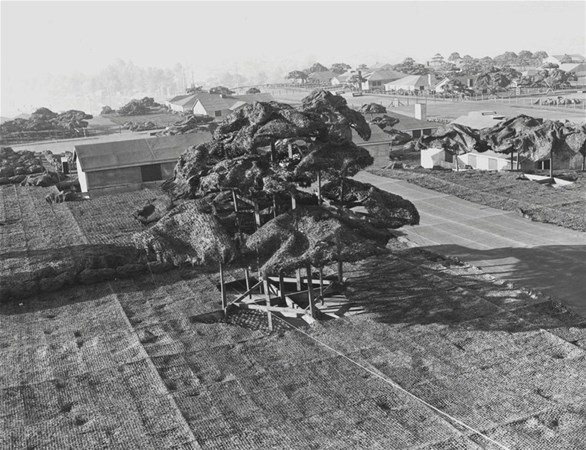 Akılalmaz taktik! Savaş uçakları görmesin diye... - 10