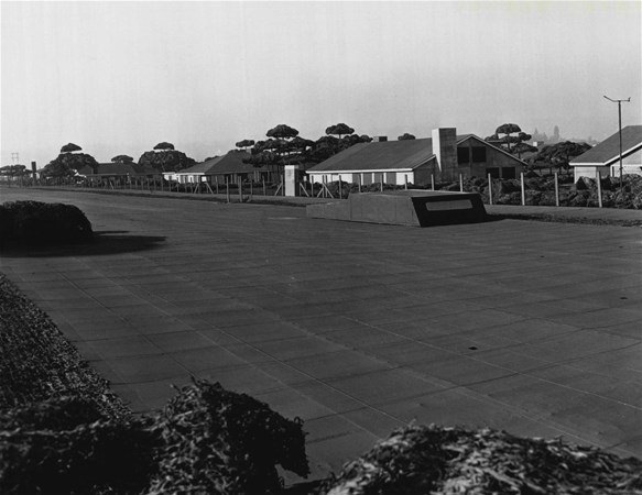 Akılalmaz taktik! Savaş uçakları görmesin diye... - 12
