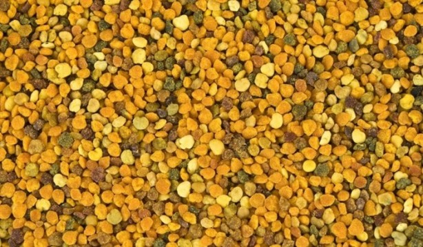 Sadece et değil, bu besinler de protein zengini! - 11