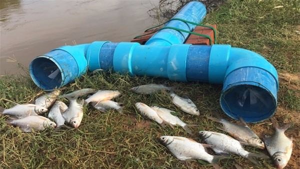 İşte sıra dışı balık tutma yöntemi - 19