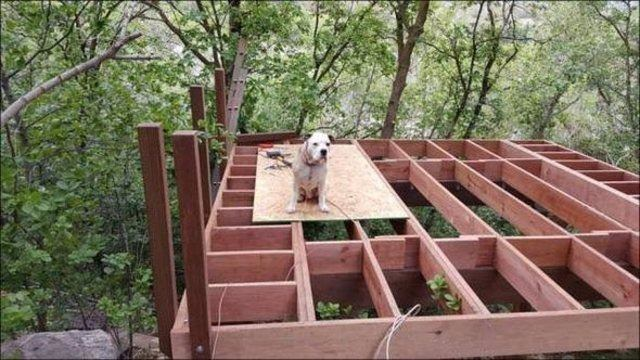 Babadan kızına sürpriz! - 11