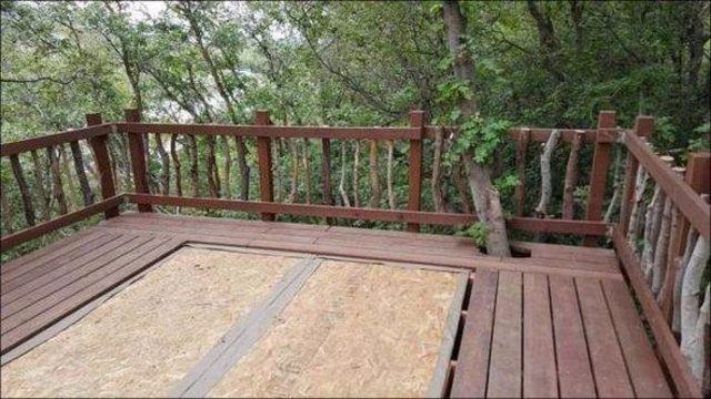 Babadan kızına sürpriz! - 16