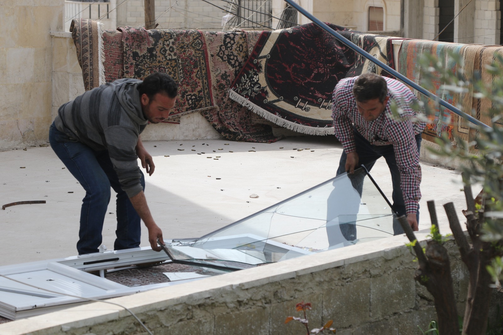 İHH, Afrin merkezdeki Usame bin Reşid camisinin halılarını yeniledi - 0