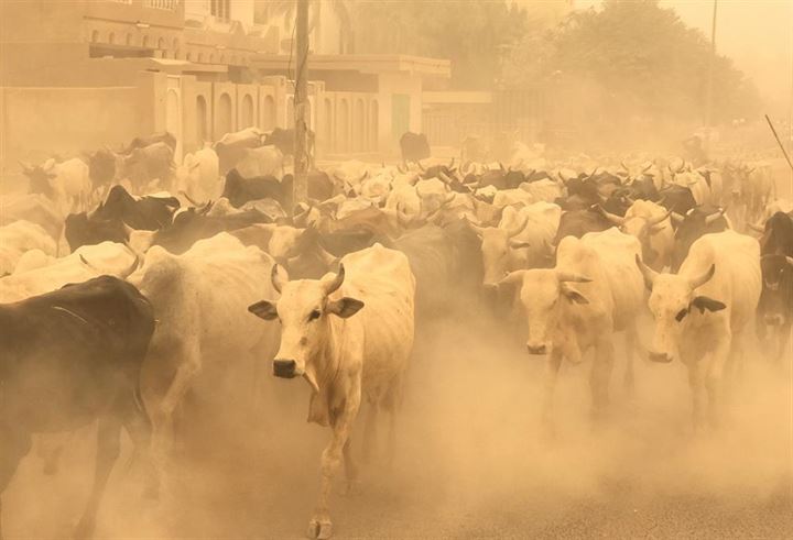 Sudan'da kum fırtınası - 2