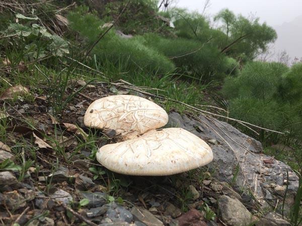 Bu ota ulaşmak için 10 kilometre yürüyorlar! - 7