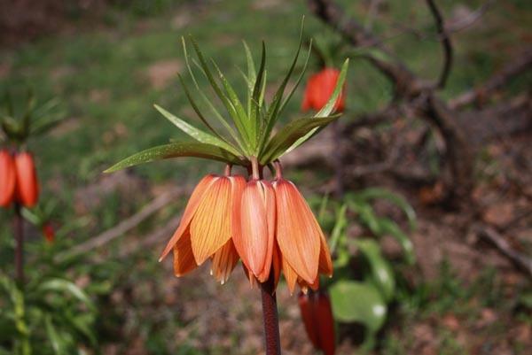 Bu ota ulaşmak için 10 kilometre yürüyorlar! - 0