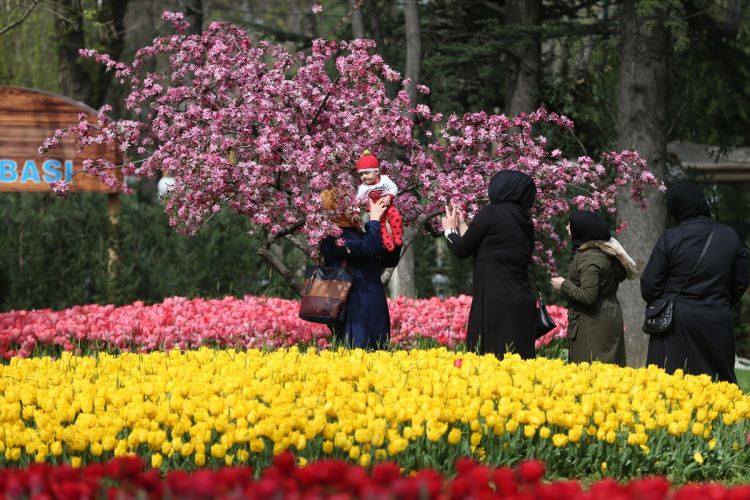 Bursa, 5 milyon çiçekle renklendi - 6