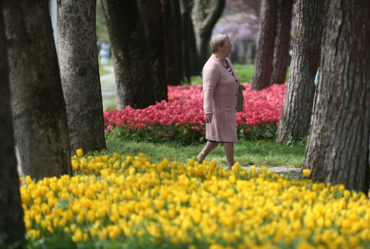 Bursa, 5 milyon çiçekle renklendi - 9