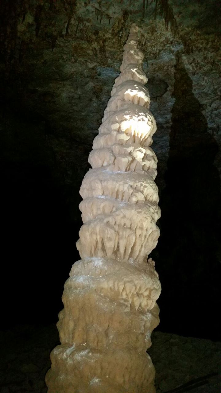 Operasyon bölgesinde bulundu - 1