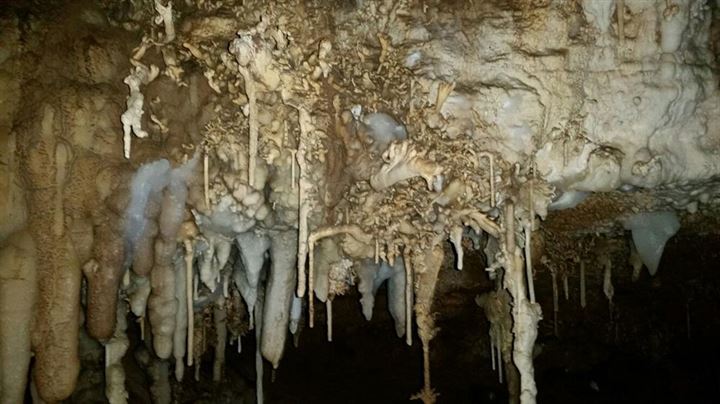 Operasyon bölgesinde bulundu - 2