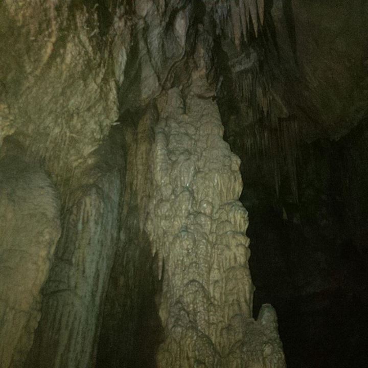 Operasyon bölgesinde bulundu - 4