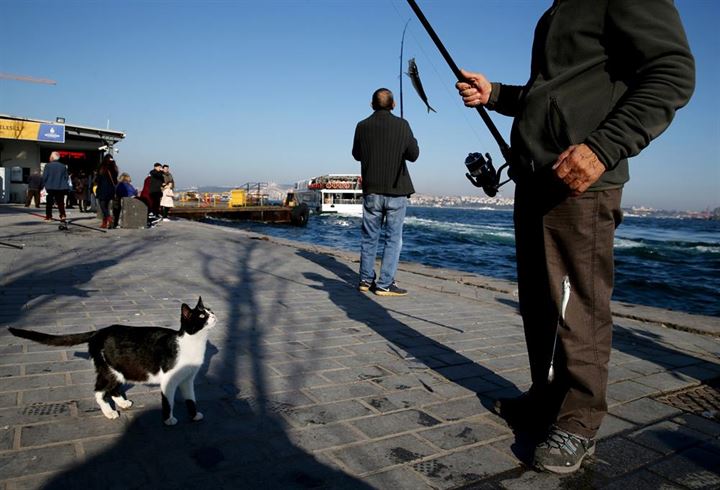 İstanbul'un asıl müdavimleri - 19