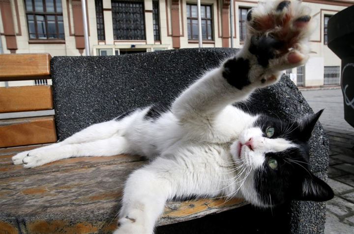 İstanbul'un asıl müdavimleri - 28