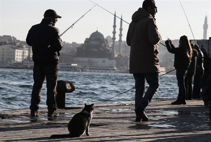 İstanbul'un asıl müdavimleri - 30