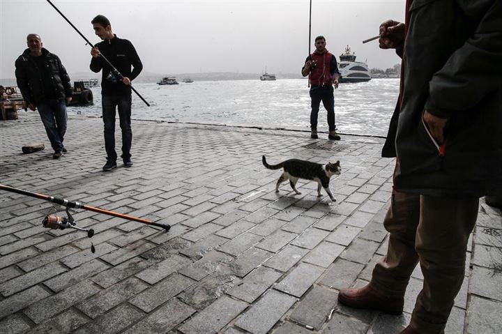 İstanbul'un asıl müdavimleri - 33