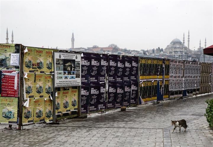 İstanbul'un asıl müdavimleri - 34