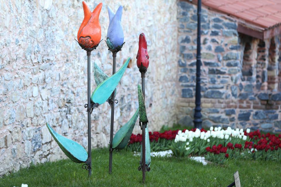 Türklerin dünyaya hediye ettiği hazine: lale - 14