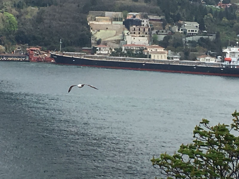 İstanbul Boğazı'nda gemi yalıya çarptı - 31