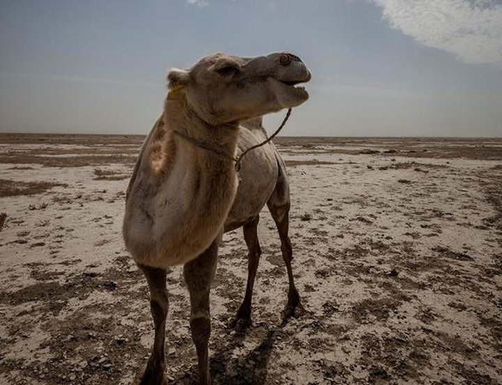 Dünyanın en büyük gölüydü - 15