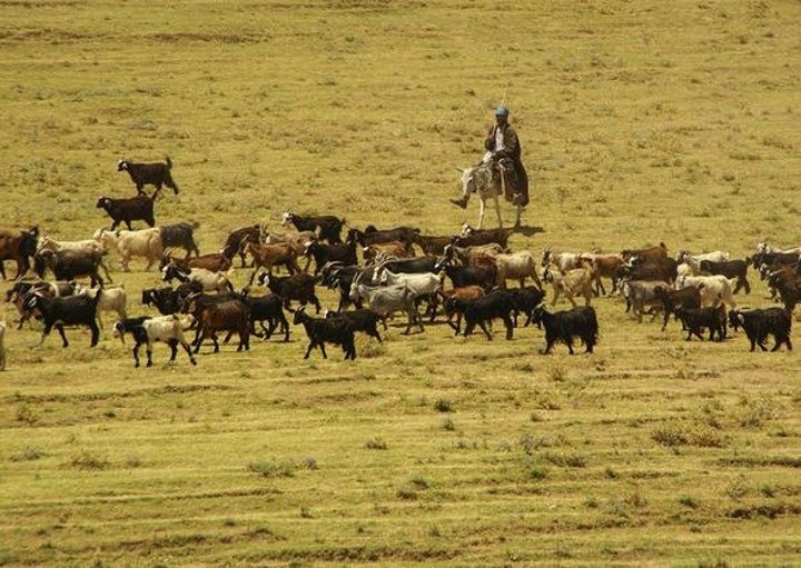 Dünyanın en büyük gölüydü - 16