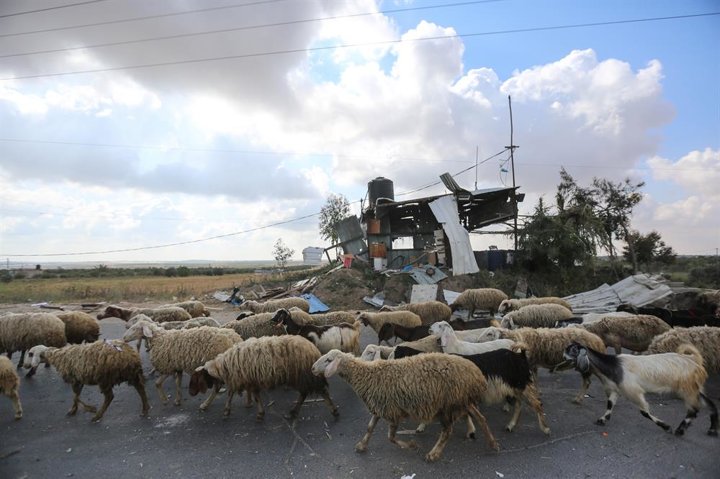 İsrail'den Gazze'ye hava saldırısı - 3