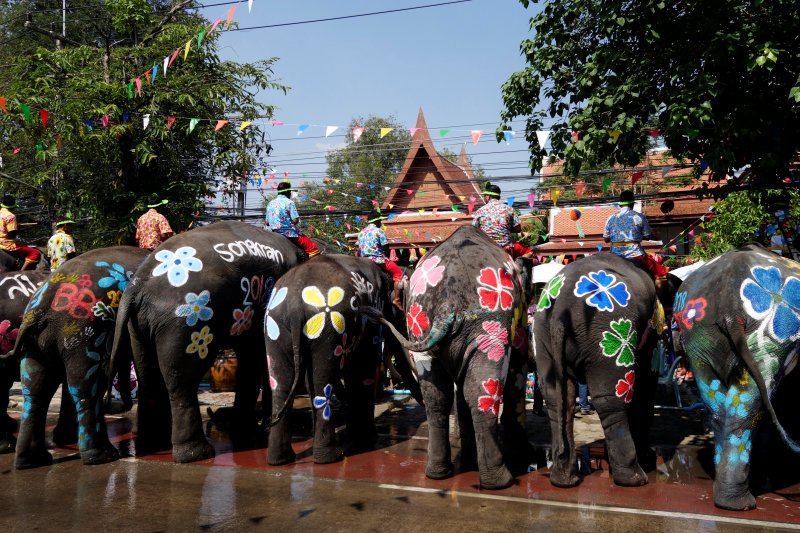 Tayland'da insanlarla fillerin su savaşı - 0