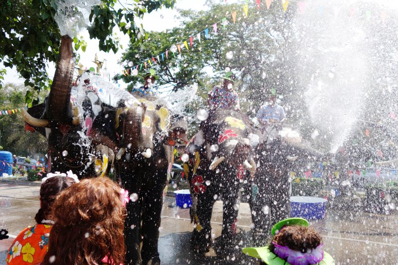 Tayland'da insanlarla fillerin su savaşı - 0