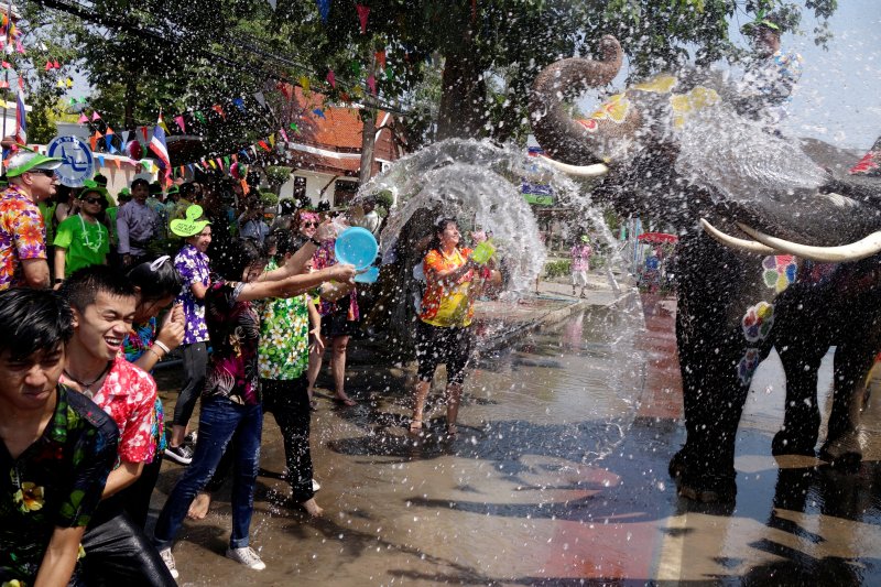 Tayland'da insanlarla fillerin su savaşı - 0